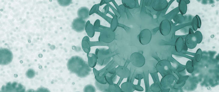 The significance of the Corona pandemic for the 2019 annual accounts