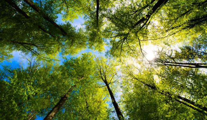 Fra Middelfart og Fyn til hele verden