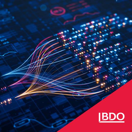 Bdo Risk Matrix Matrix42 (1) - BDO