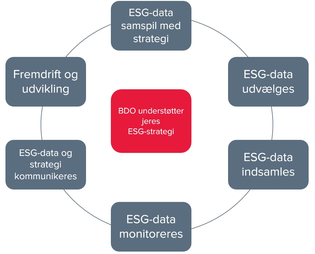 BDO som ESG-samarbejdspartner