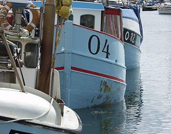 Fiskeri