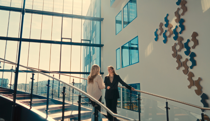 Strategisk indsigt, økonomistyring og optimering af processer