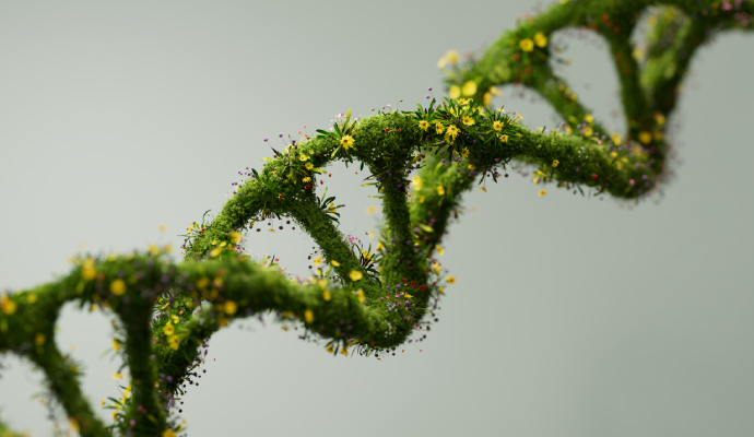 Strengthen your business with a sustainable business model