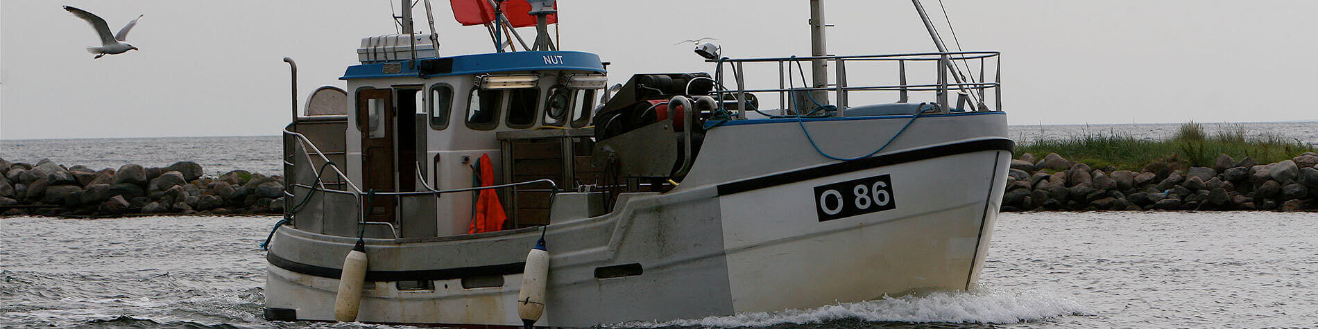 Rådgivning tilpasset en hverdag i forandring